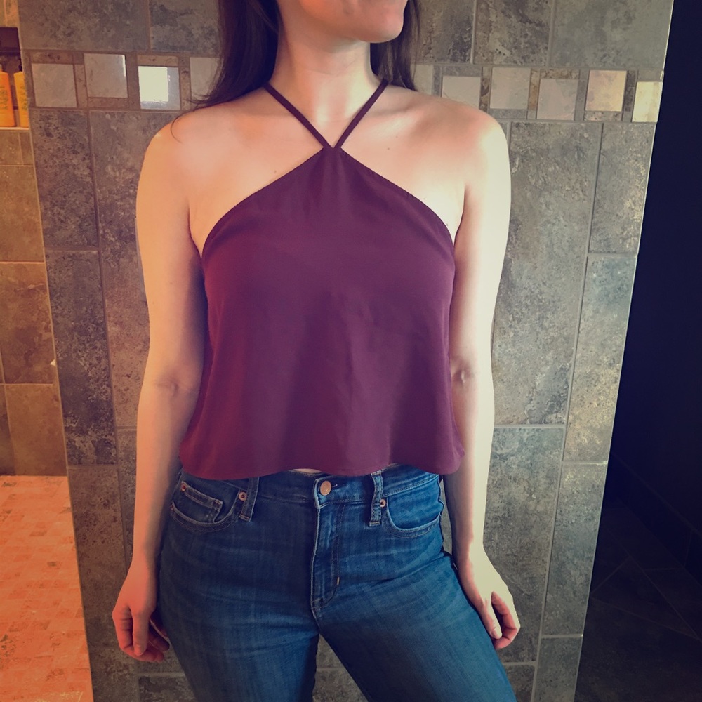 Sheer Maroon Crop Top